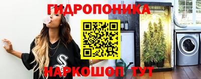 МДПВ Лесосибирск