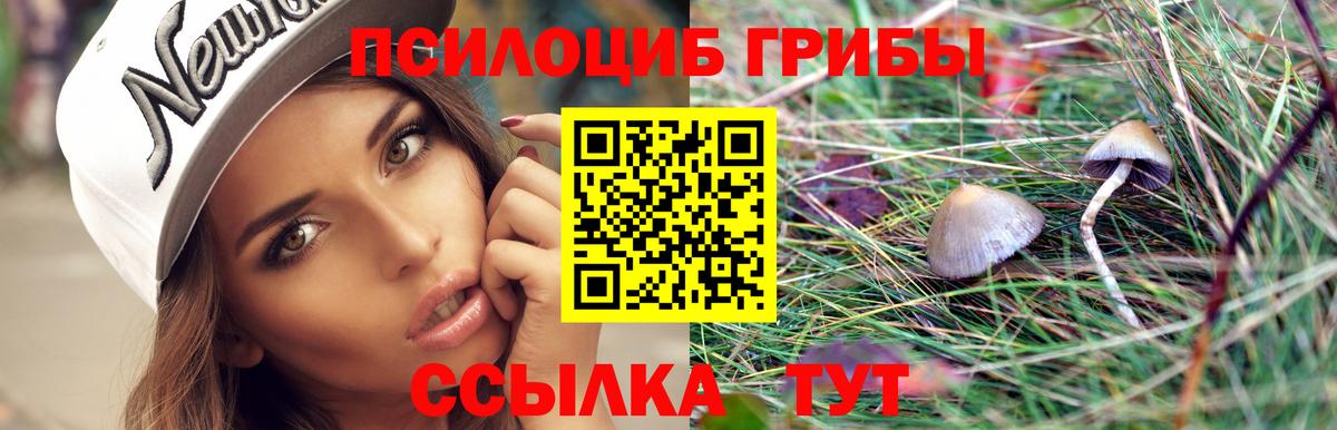 Галлюциногенные грибы прущие грибы Качканар