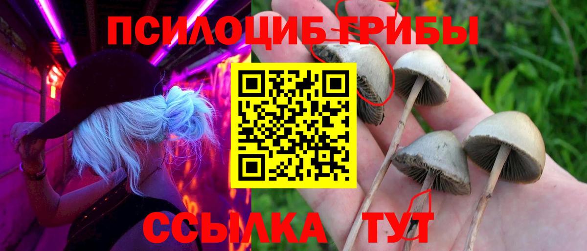 как найти наркотики  Вход с VPN  Качканар  Галлюциногенные грибы Cubensis 